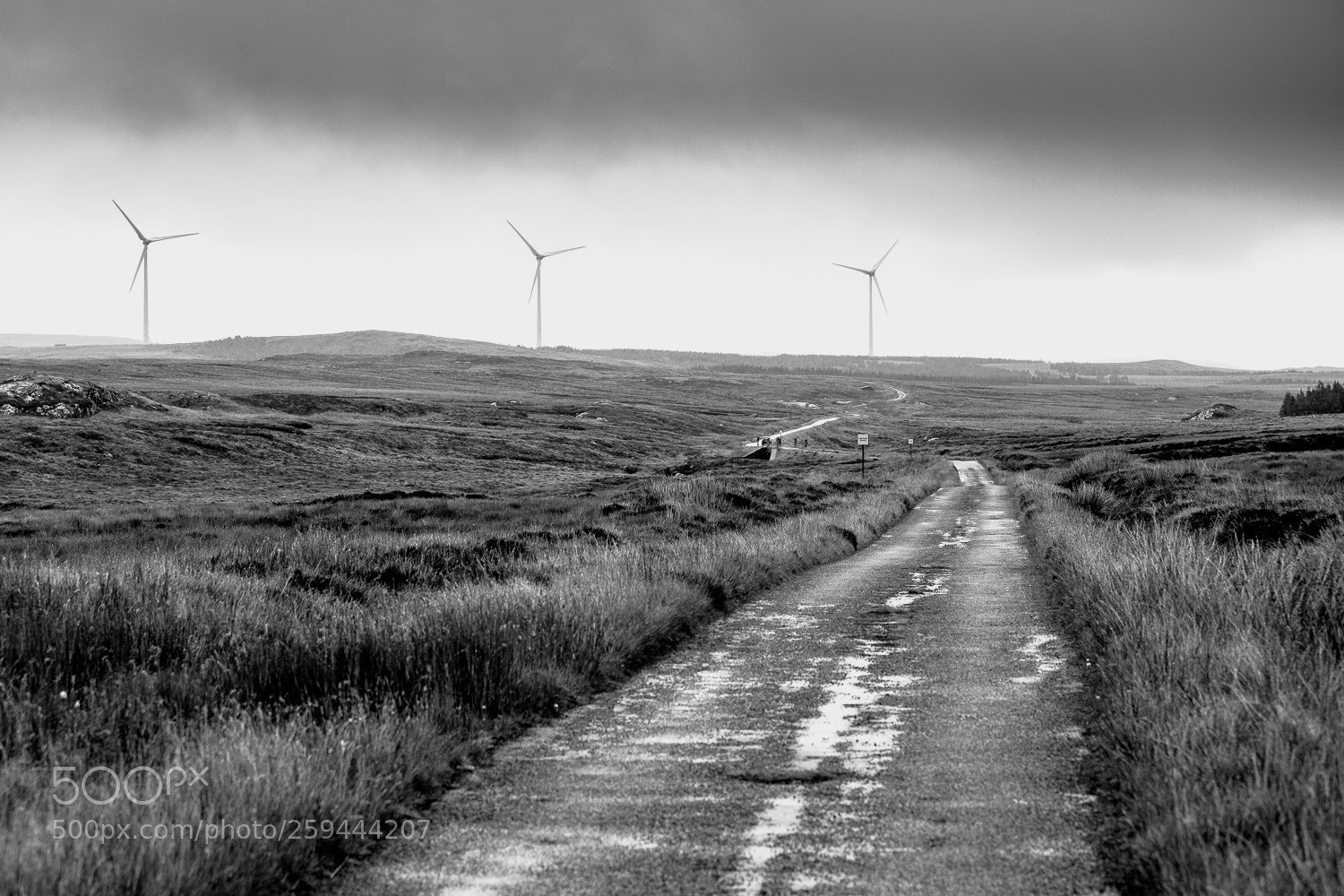 Canon EOS 5D Mark II sample photo. Pentland road photography