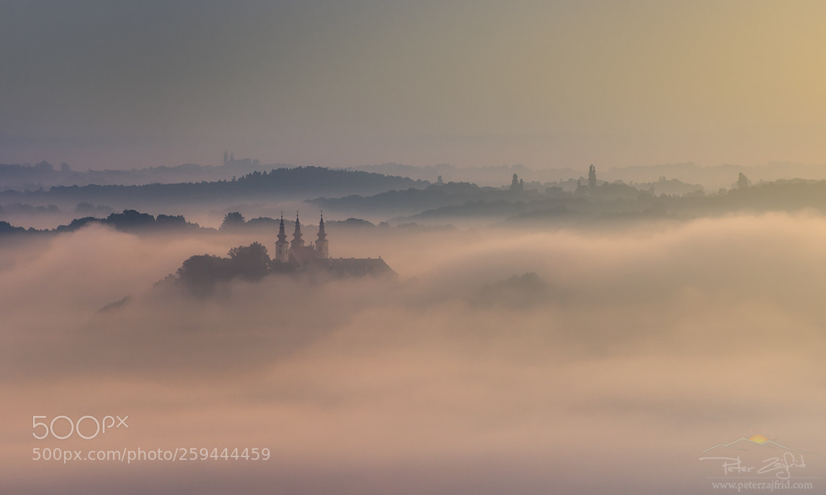 Nikon D810 sample photo. In the fog photography