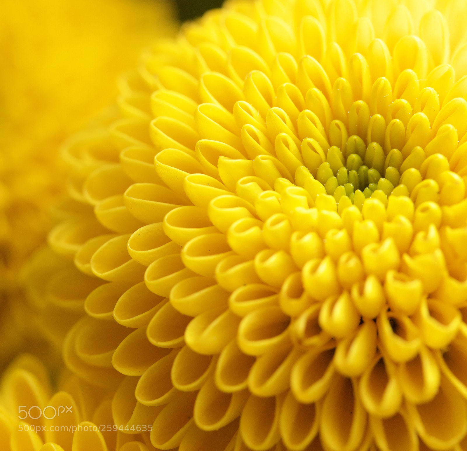 Canon EOS 600D (Rebel EOS T3i / EOS Kiss X5) sample photo. Fullsizeoutput bd photography