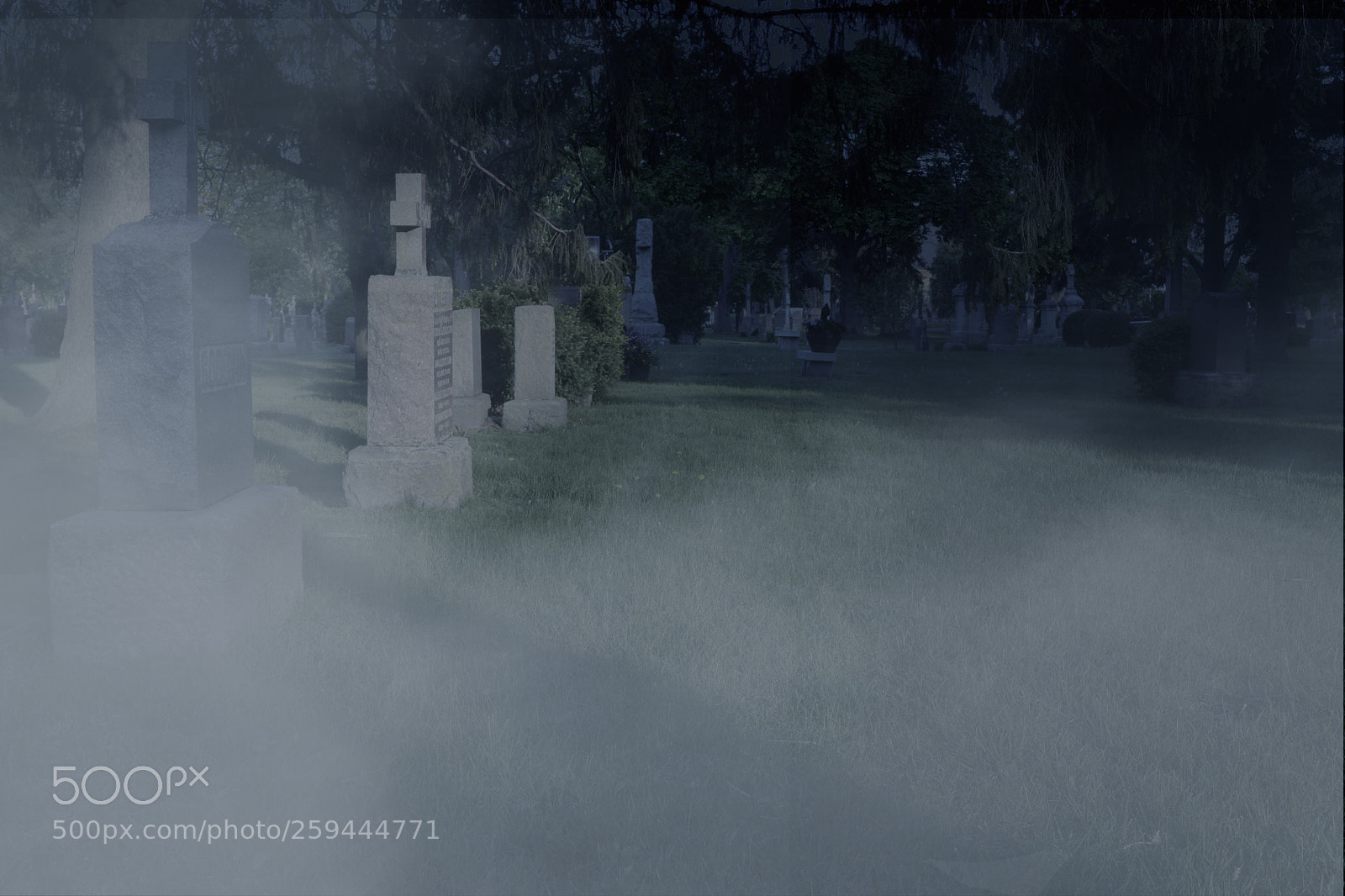 Nikon D3100 sample photo. Nightmare photography