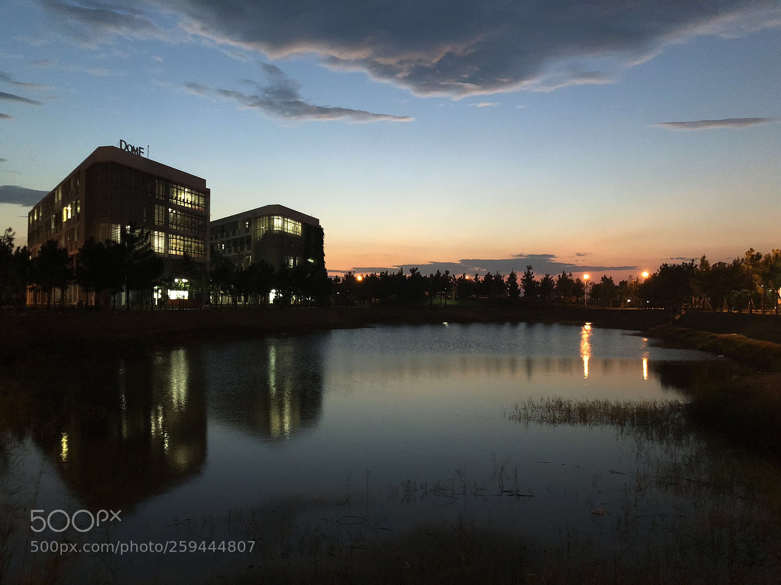 Apple iPhone X sample photo. Summer night photography