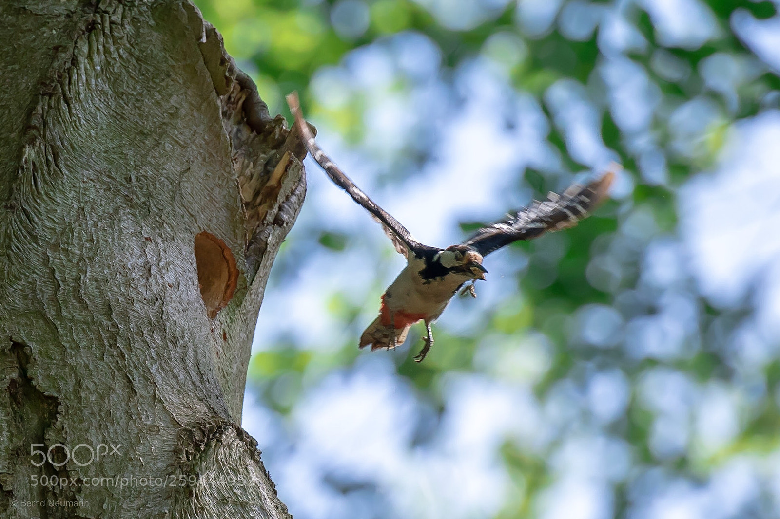 Nikon D7500 sample photo. Transporter photography