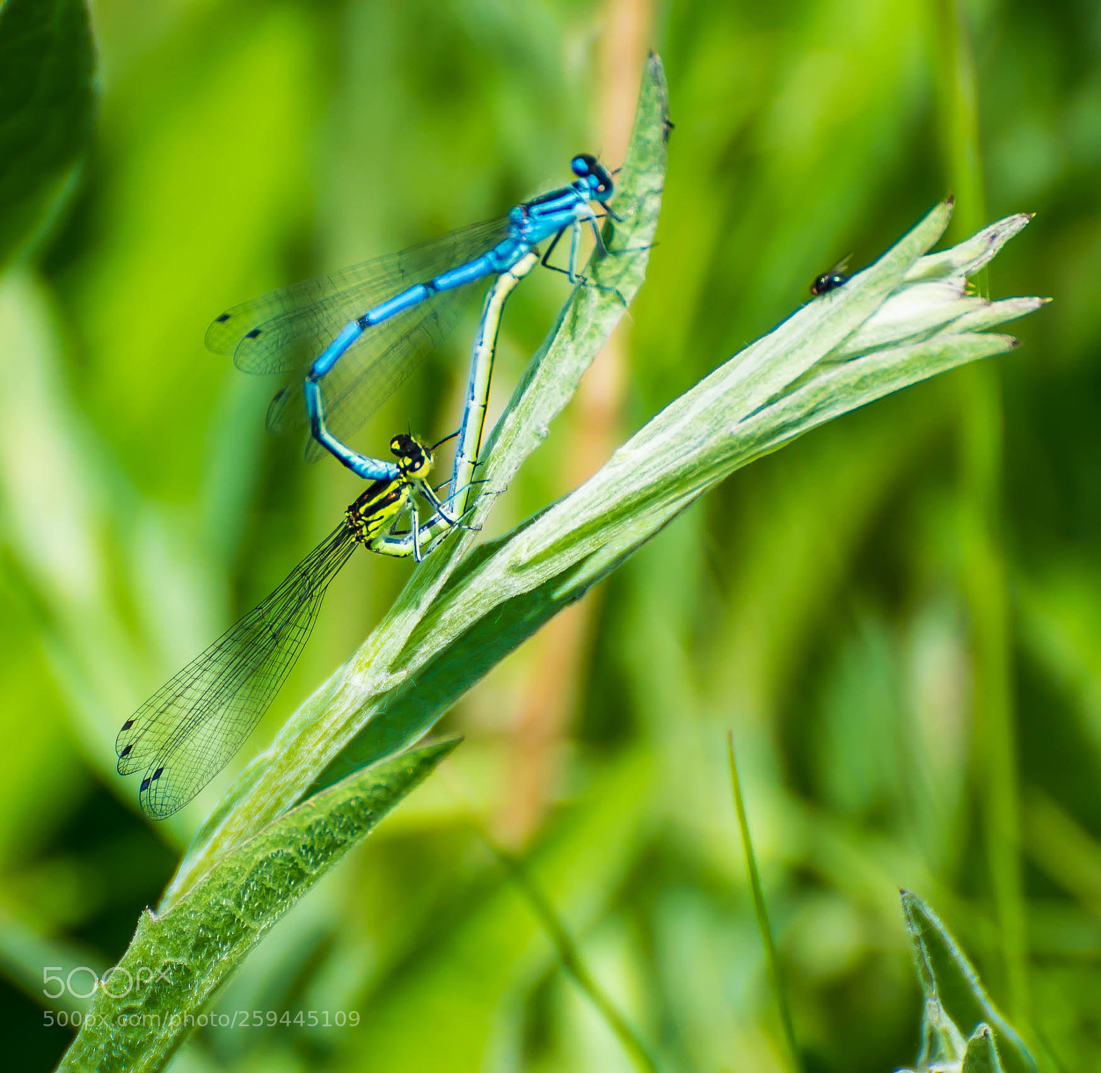 Nikon D5300 sample photo. Don't move photography