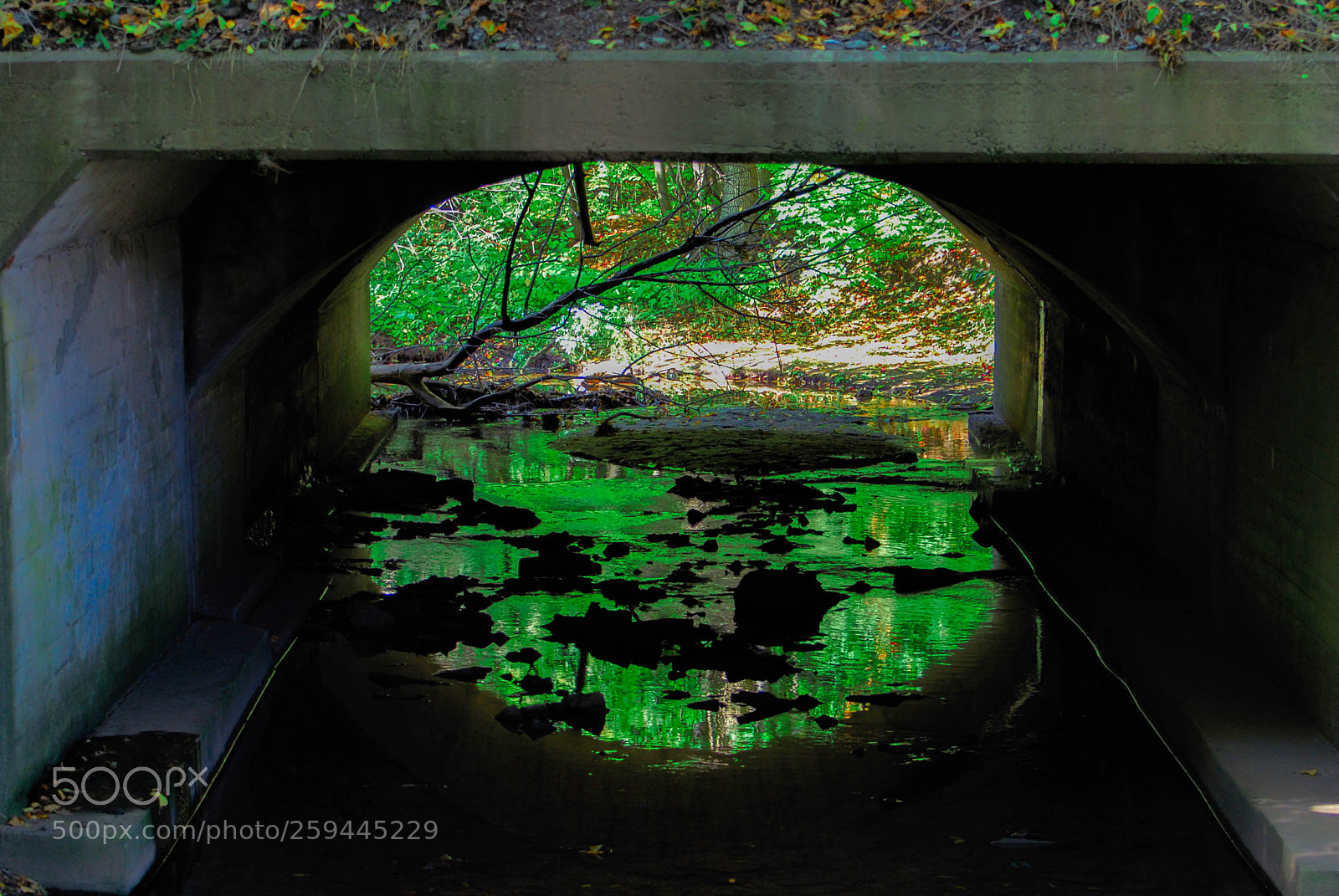 Nikon D200 sample photo. Under lakeshore road photography