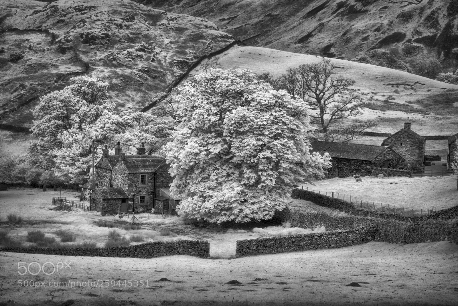 Sony Alpha DSLR-A100 sample photo. Martindale, lake district photography
