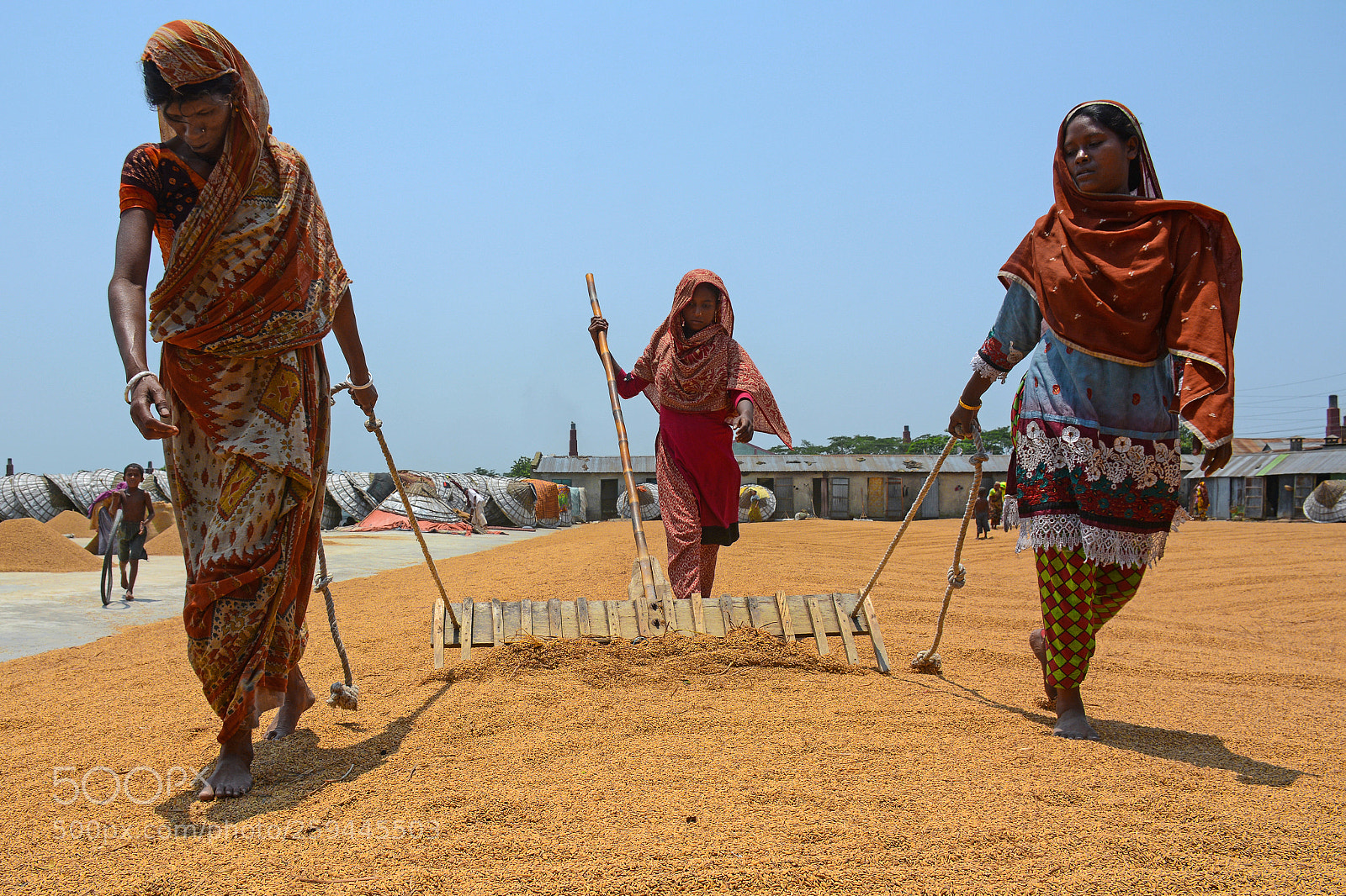 Nikon D7100 sample photo. The real gold cultivators photography