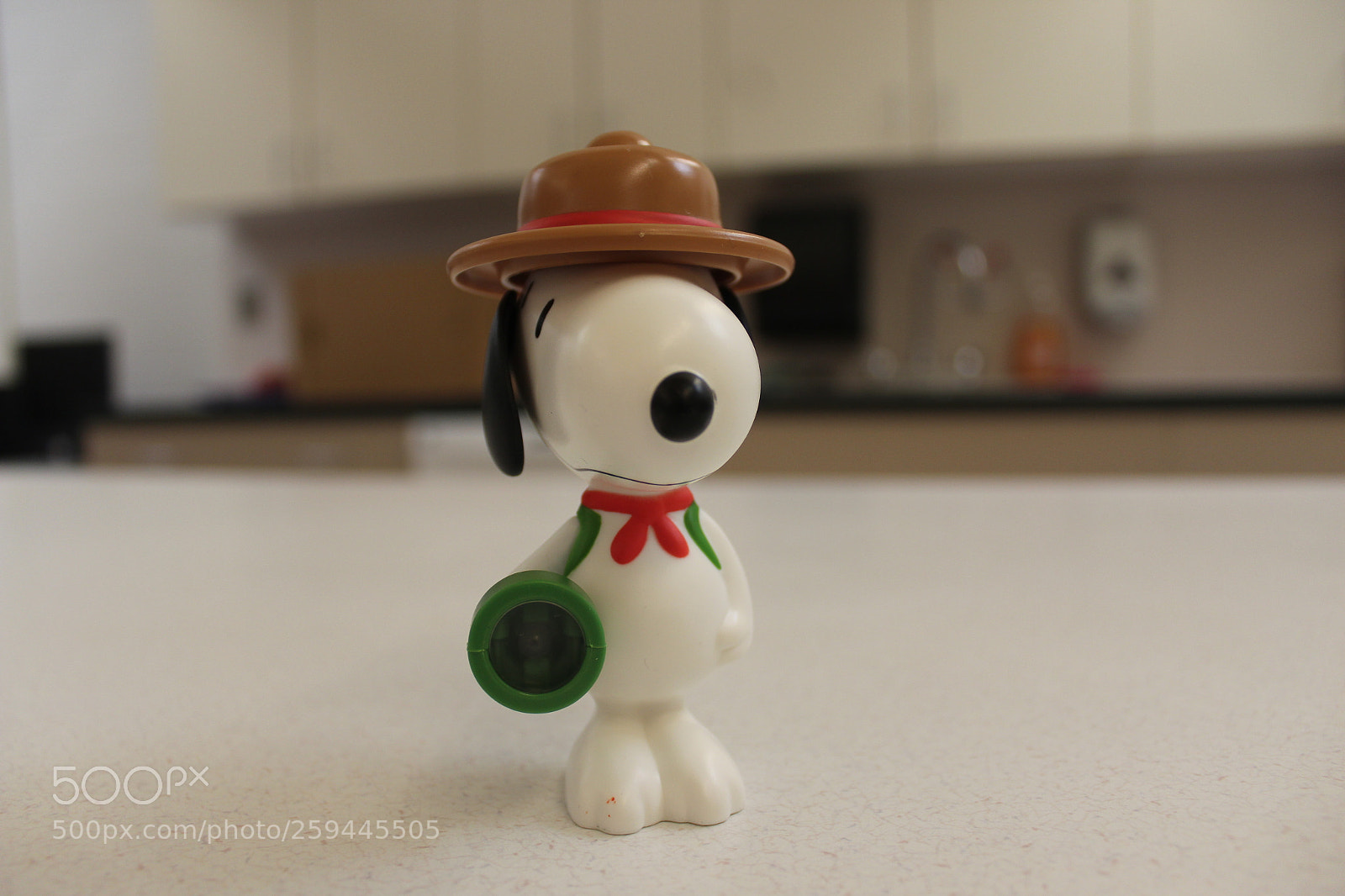 Canon EOS 1200D (EOS Rebel T5 / EOS Kiss X70 / EOS Hi) sample photo. Aperature priority photography