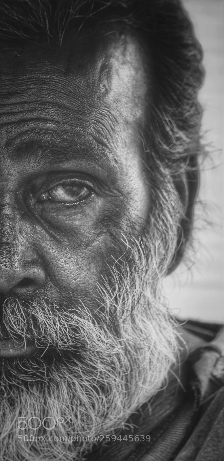 Nikon D5100 sample photo. Untitled photography