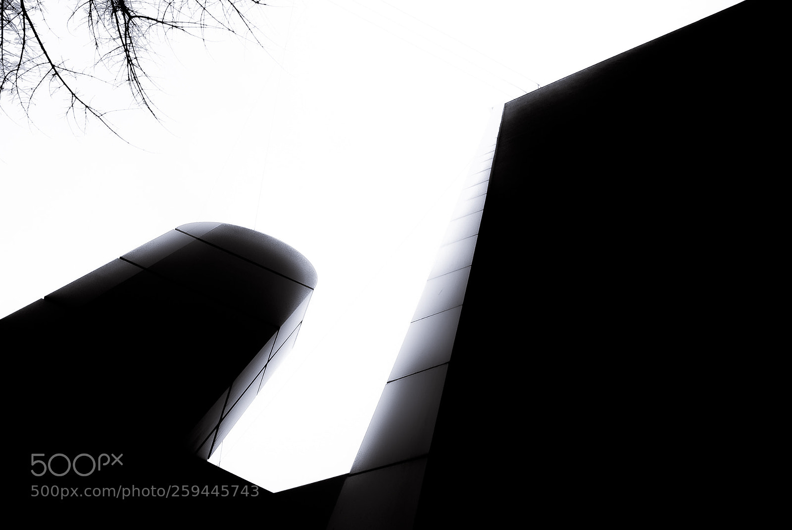 Nikon D3000 sample photo. An urban february photography