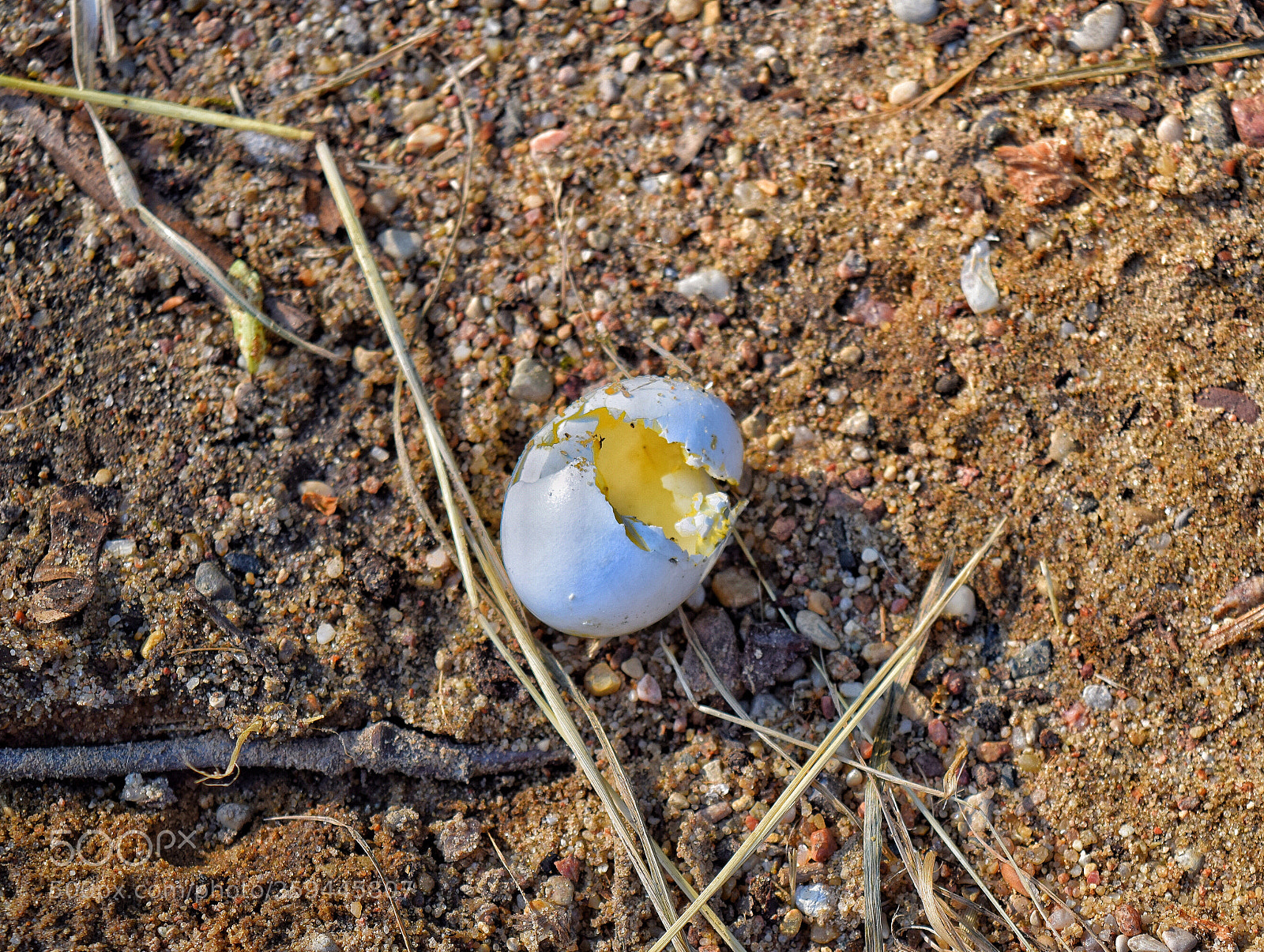Nikon D5300 sample photo. Beginning photography
