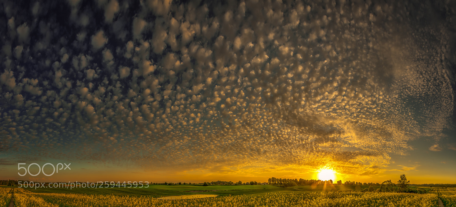 Pentax K-3 II sample photo. Sunset photography