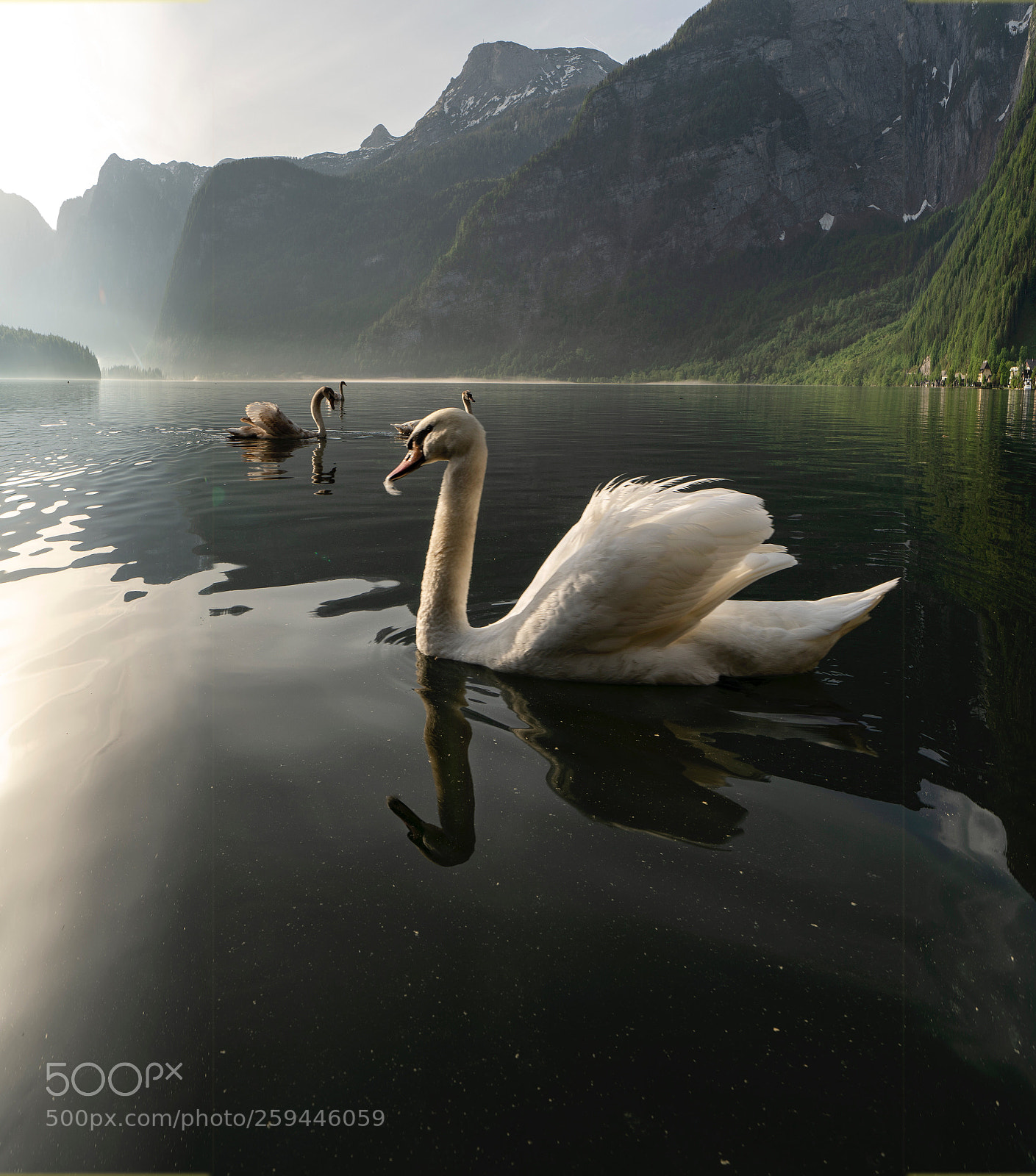 Sony a7R III sample photo. Hallstatt photography