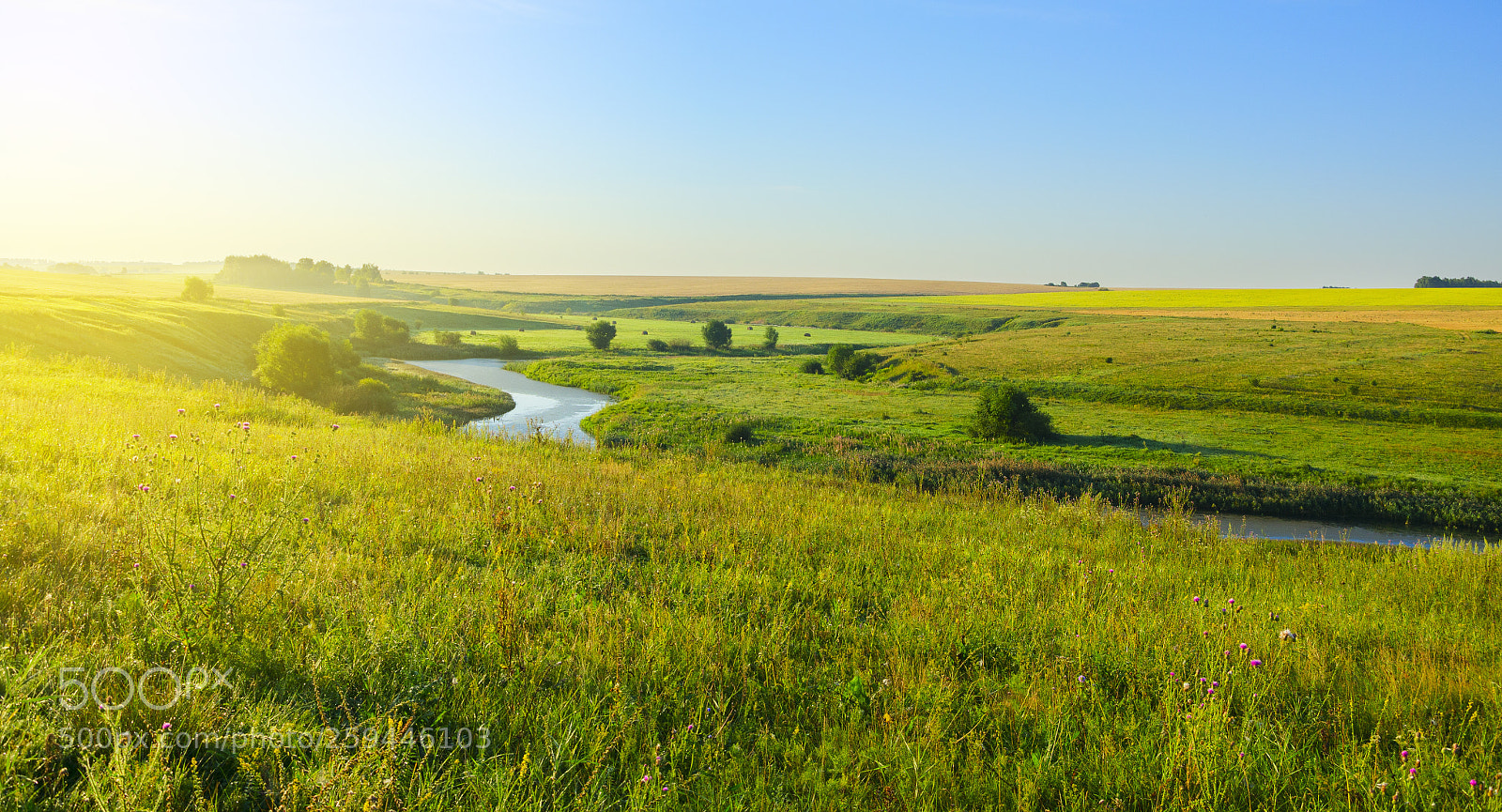 Nikon D5100 sample photo. Sunny morning photography
