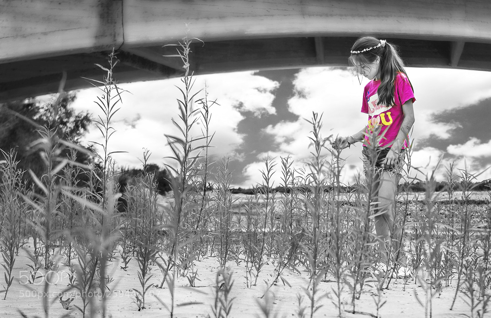 Nikon D5300 sample photo. Under bridge photography