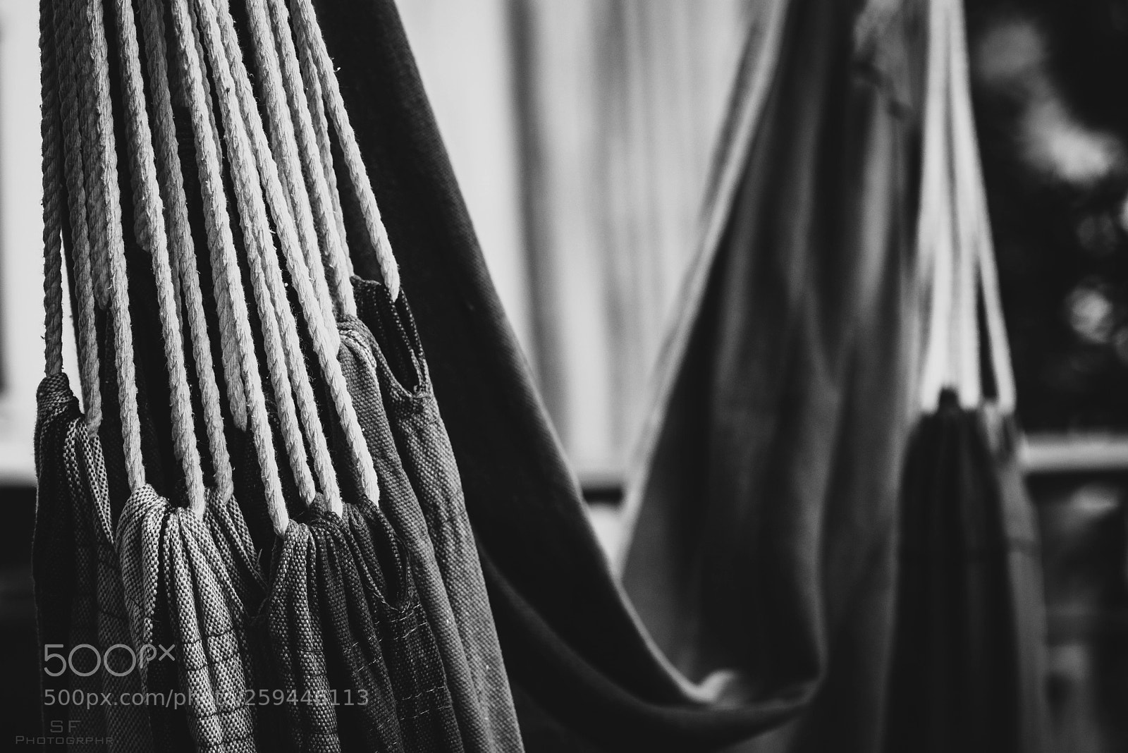 Nikon D750 sample photo. Hammock - 145/365 (black & white) photography