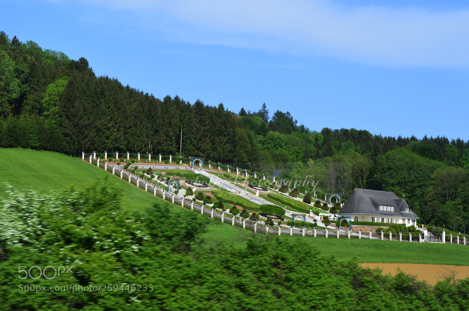 Nikon D3200 sample photo. Life is beautiful photography