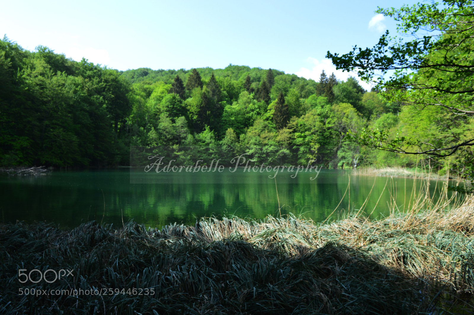 Nikon D3200 sample photo. Life is beautiful photography