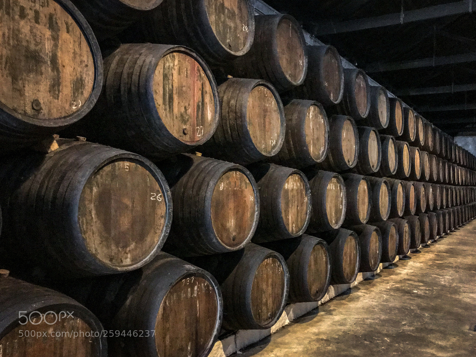 Apple iPhone 7 Plus sample photo. Port wine barrels photography