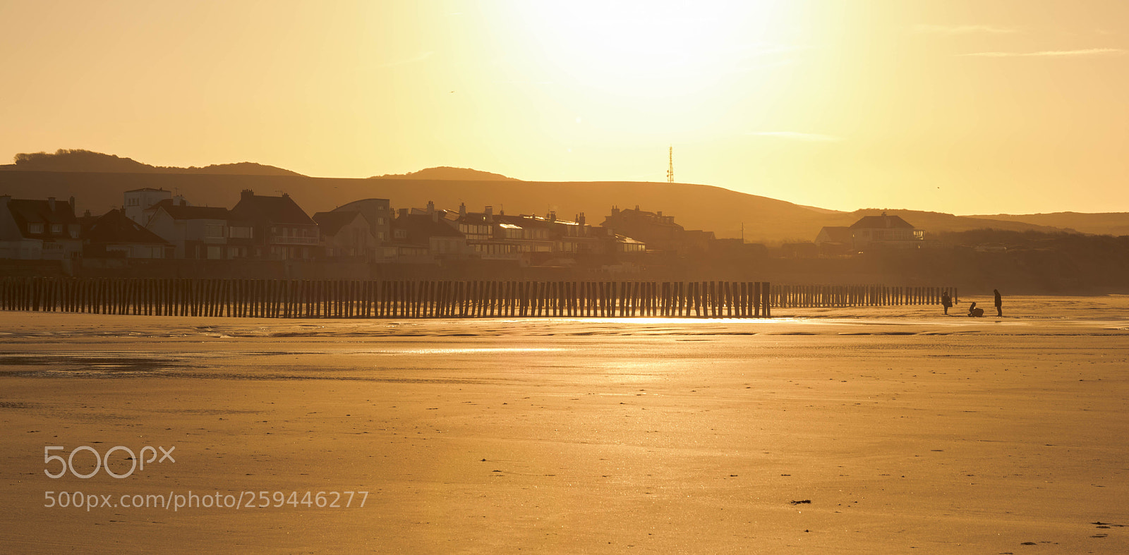 Nikon D5500 sample photo. Untitled photography