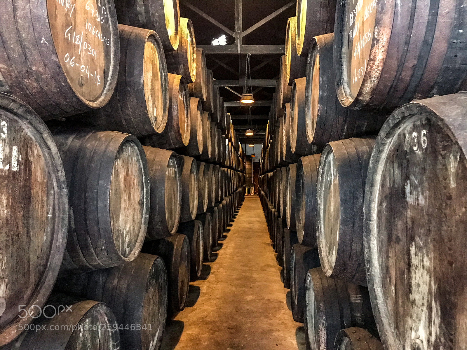 Apple iPhone 7 Plus sample photo. Port wine barrews photography