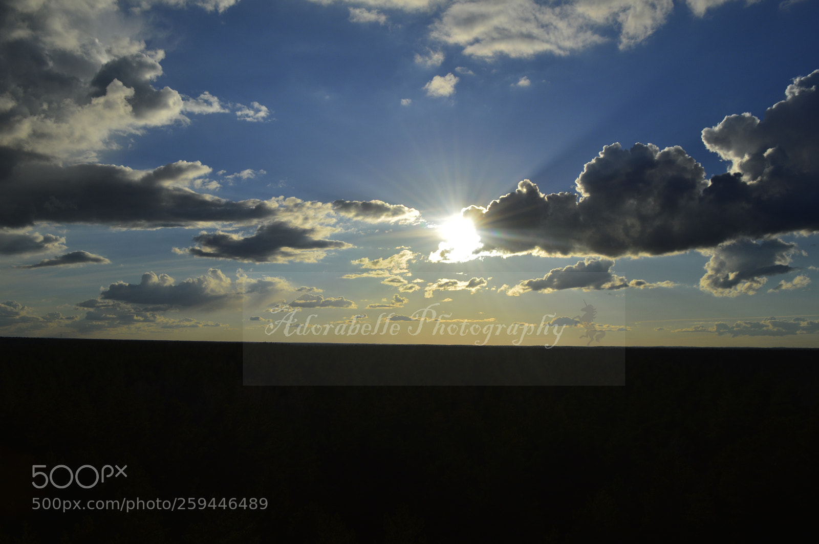 Nikon D3200 sample photo. Life is beautiful photography