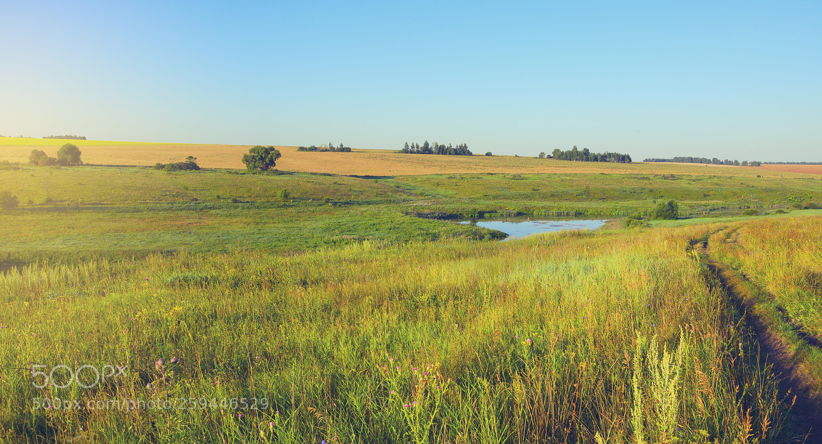 Nikon D5100 sample photo. Walking in the meadows photography