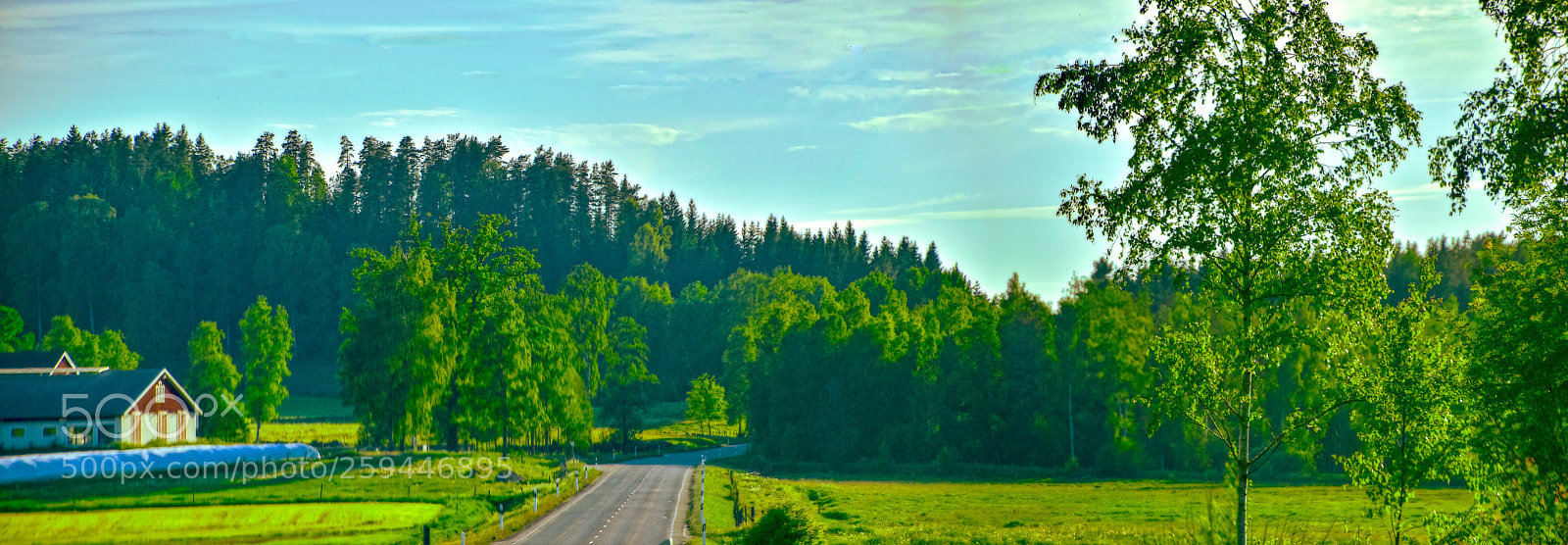 Nikon D5500 sample photo. Vid glömsjö photography
