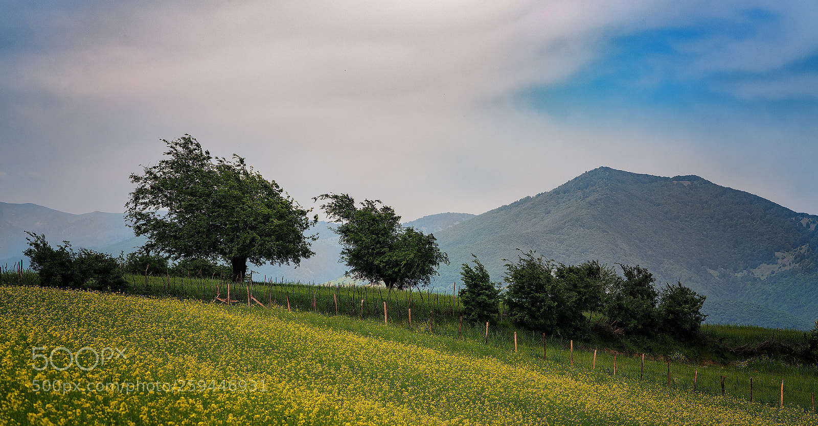Sony a7R III sample photo. Greenland photography