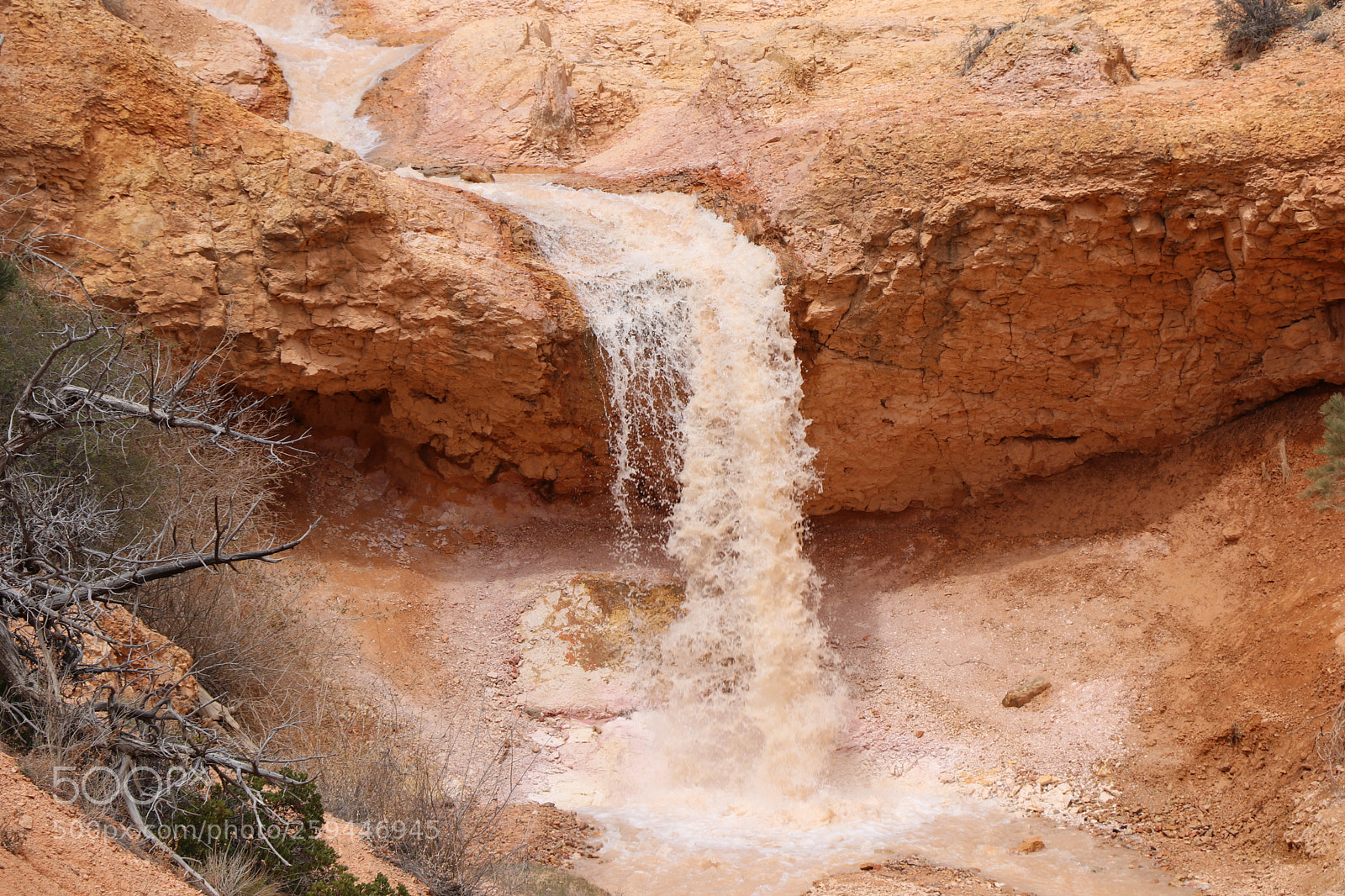 Canon EOS 80D sample photo. Bryce canyon mossy cave photography