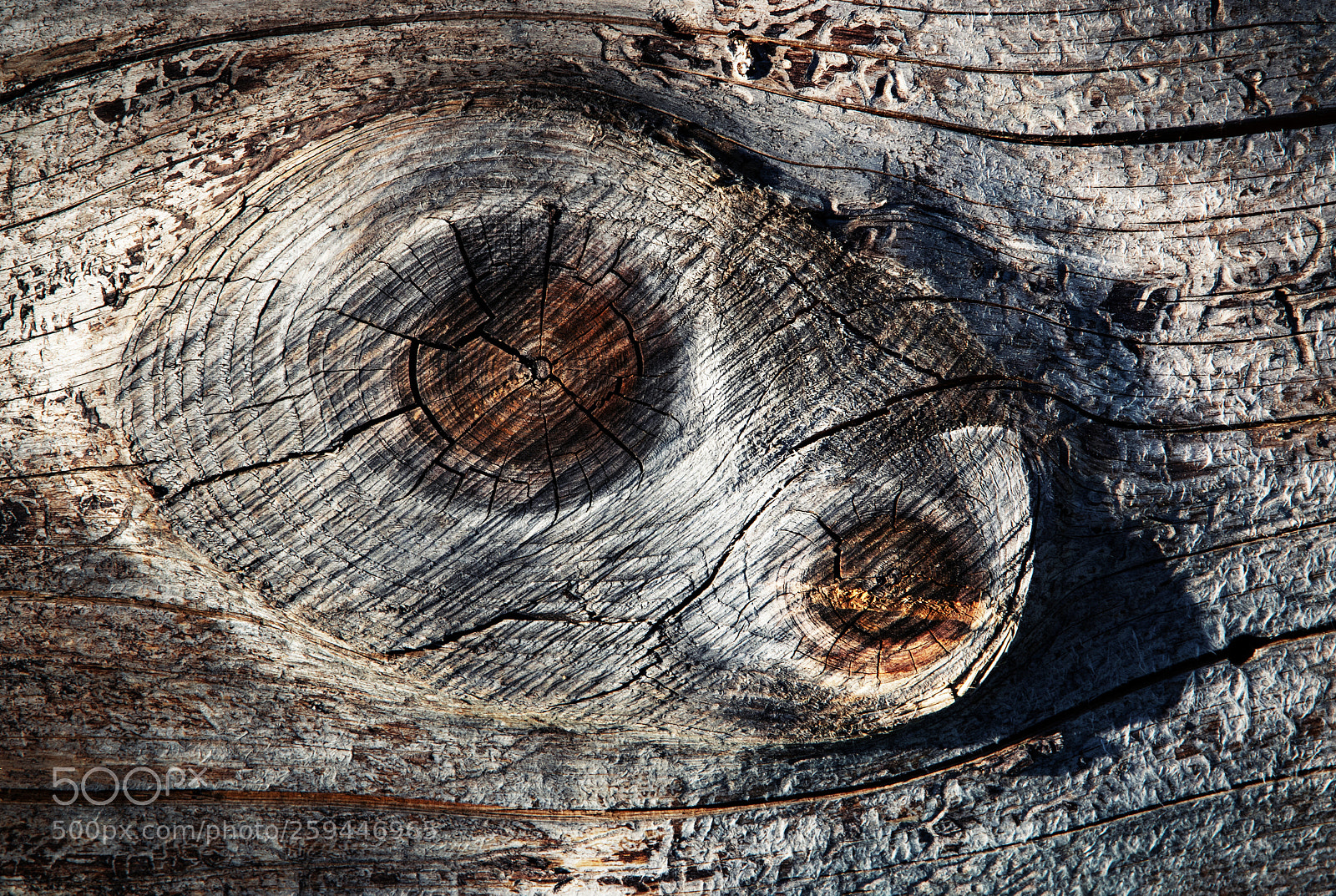 Nikon D5500 sample photo. Two knot on wood photography