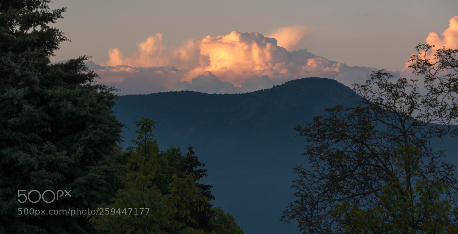 Nikon D5500 sample photo. Untitled photography