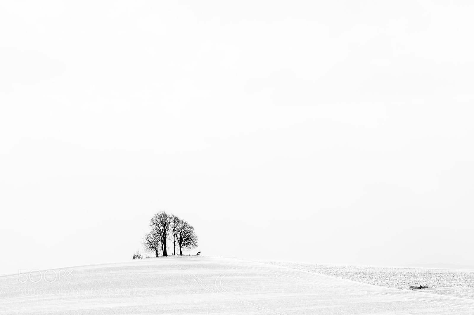 Fujifilm X-H1 sample photo. The barrow photography