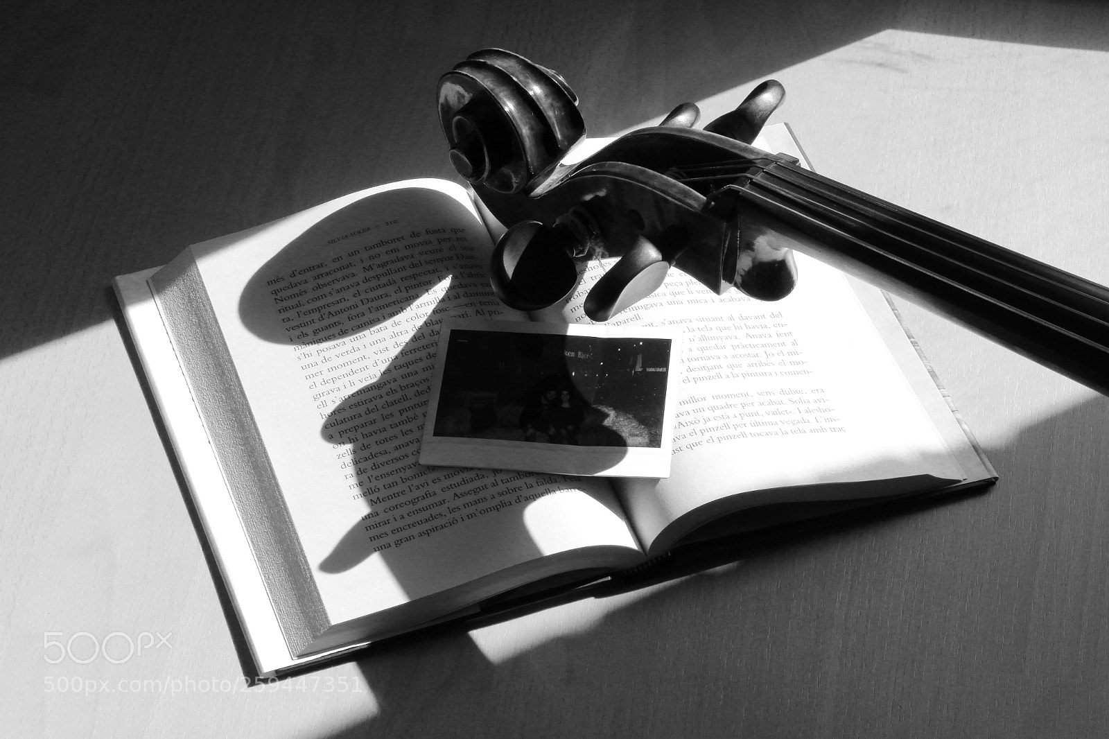 Canon EOS 70D sample photo. Art still life photography