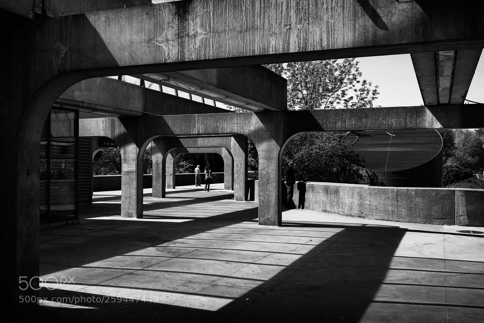 Fujifilm X100F sample photo. Angrignon photography