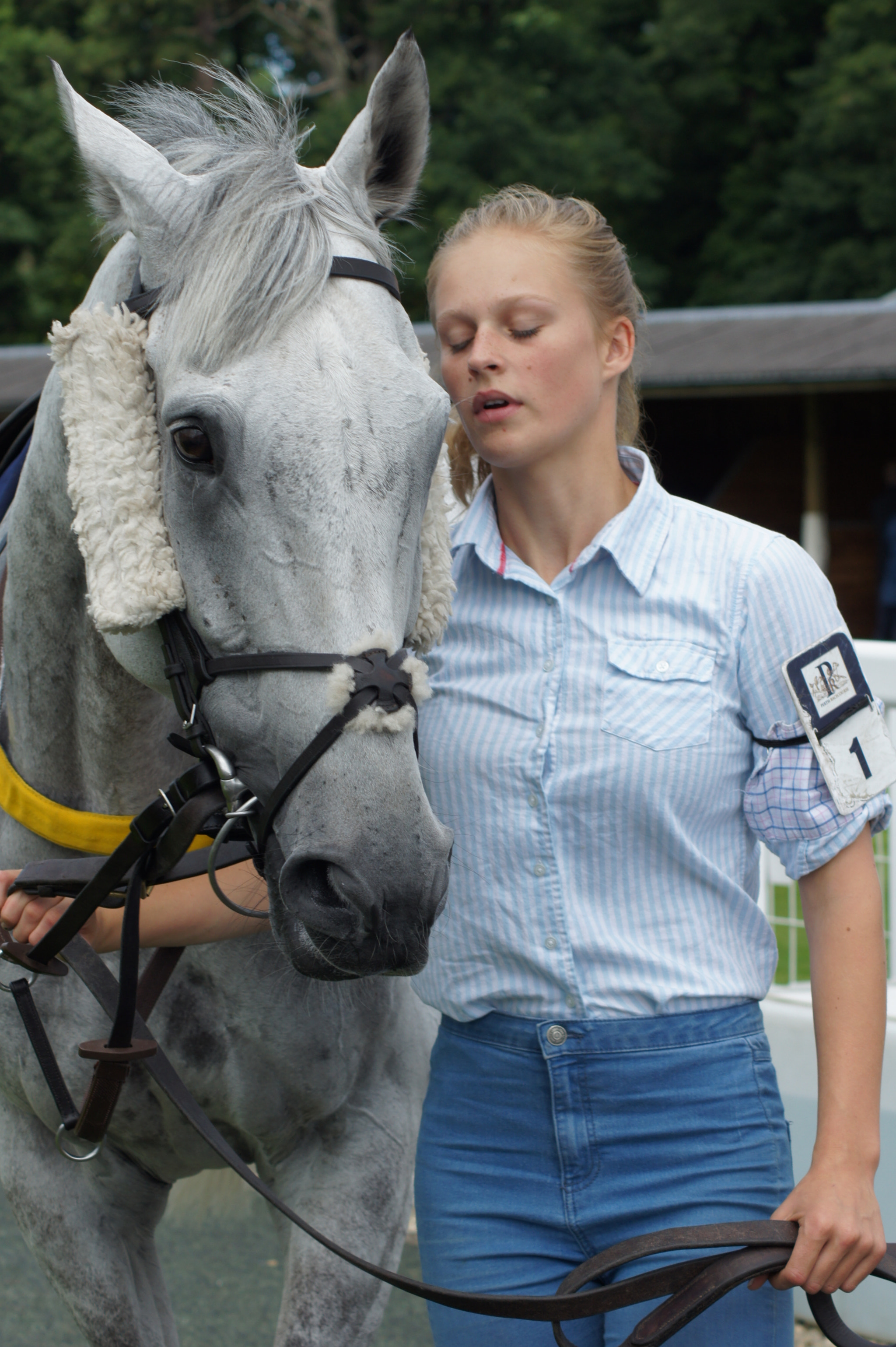 Tamron AF 70-300mm F4-5.6 Di LD Macro sample photo. Groom with entrant at perth races 2016 photography