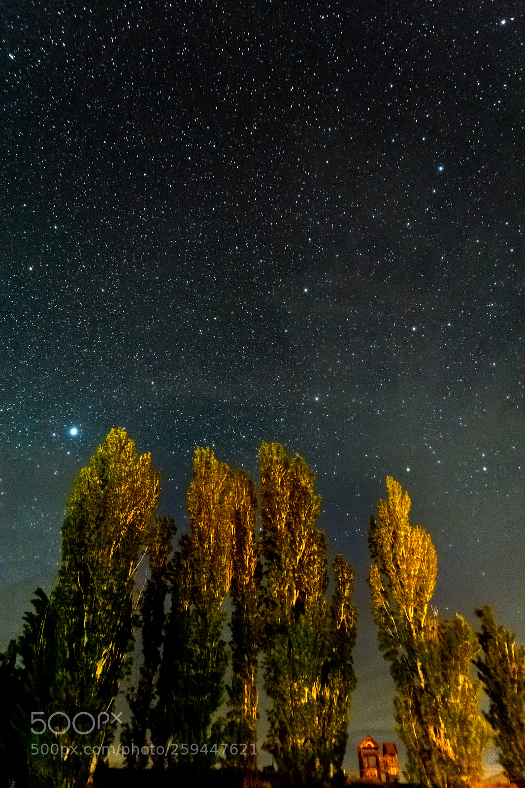 Nikon D7200 sample photo. Camping under the stars photography
