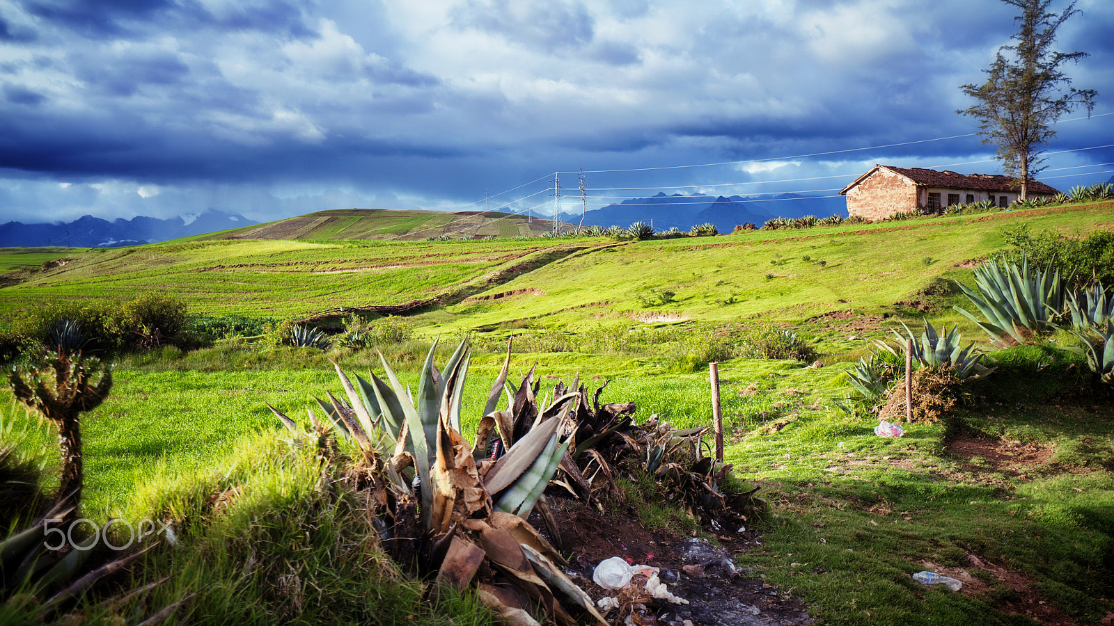 Sony a7S II sample photo. Cloudy day on green grass field with a house photography