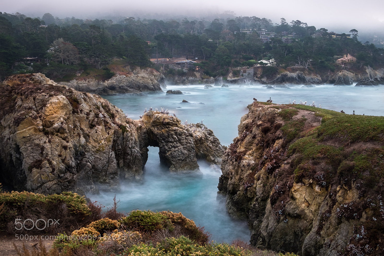 Fujifilm X-T1 sample photo. Point lobos state reserve photography