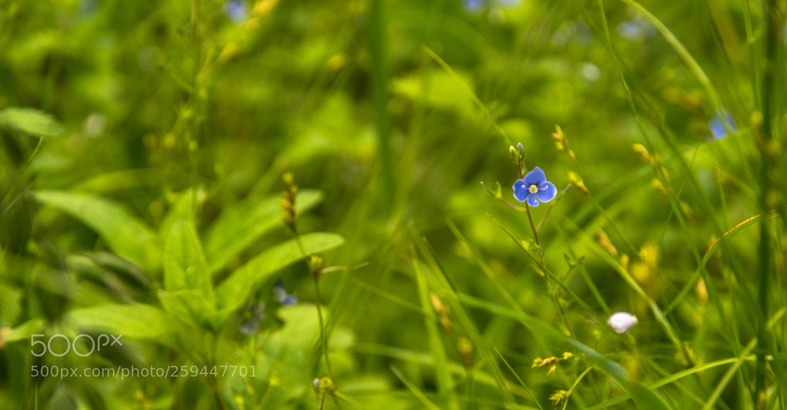 Nikon D5500 sample photo. Untitled photography