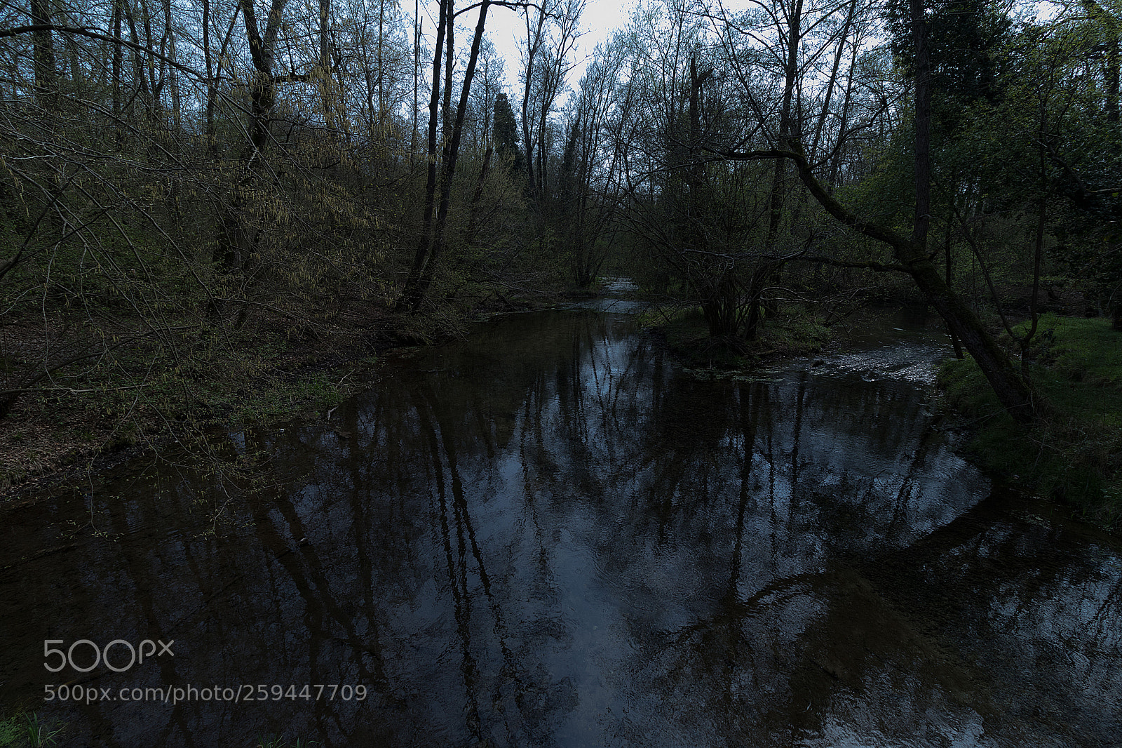 Canon EOS 80D sample photo. Nightfall photography