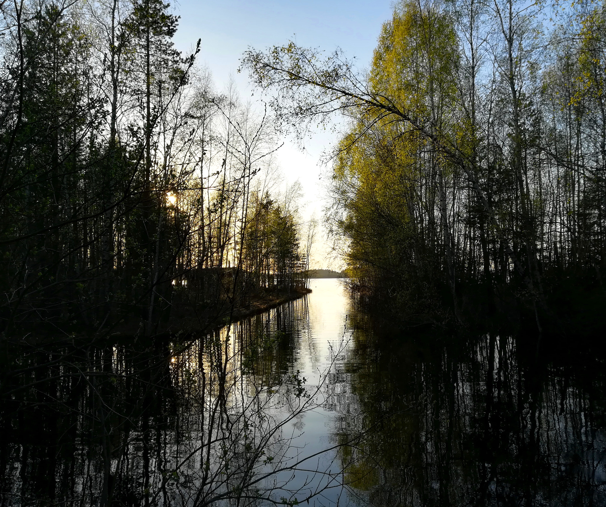 HUAWEI PRA-LX1 sample photo. Early summer evening at kurjenrahka photography