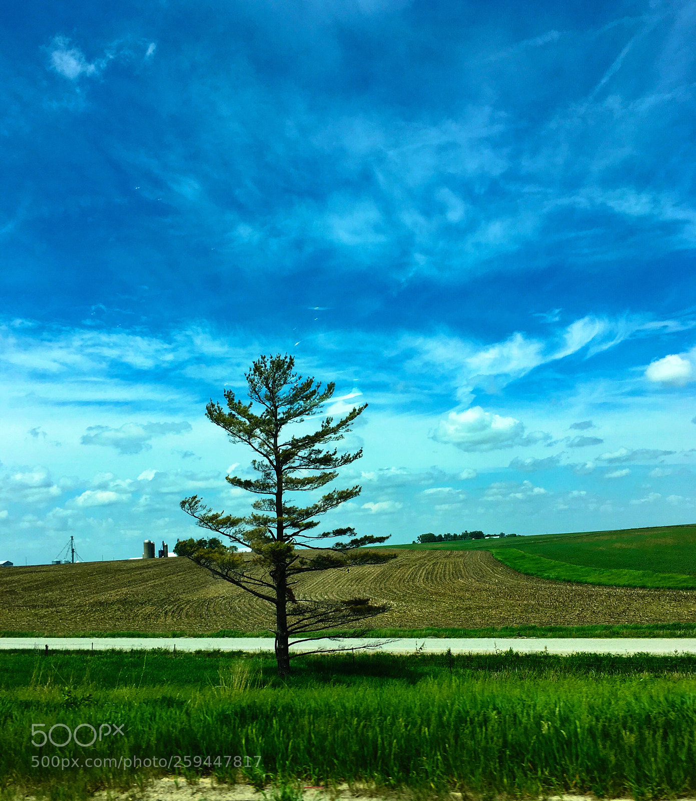Apple iPhone 6s Plus sample photo. Untitled photography