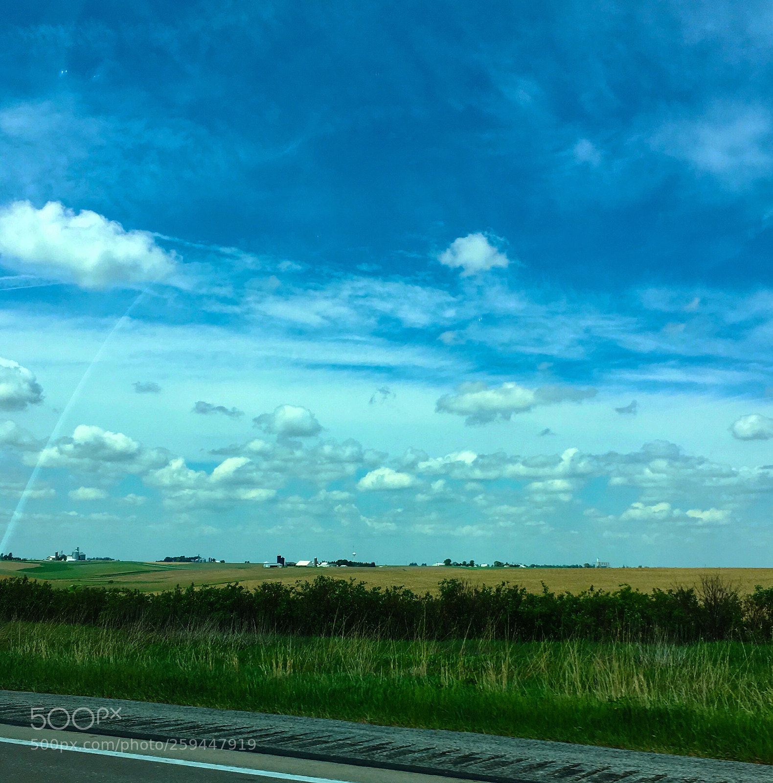 Apple iPhone 6s Plus sample photo. Untitled photography