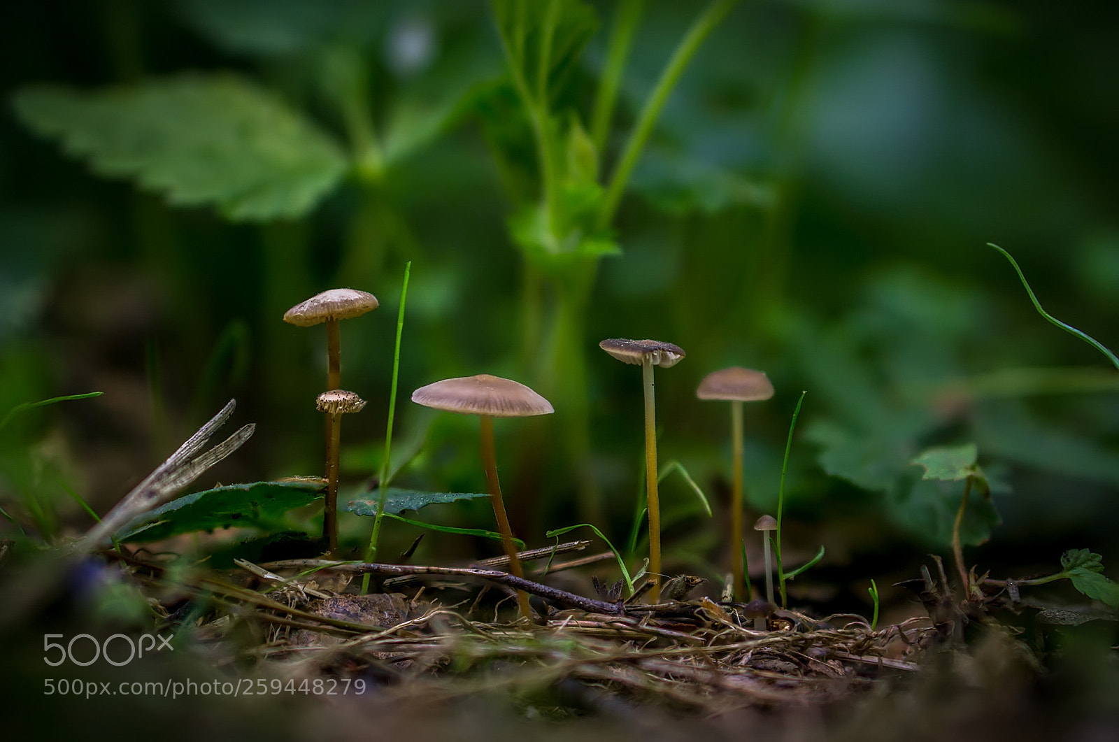 Sony a6000 sample photo. *** photography