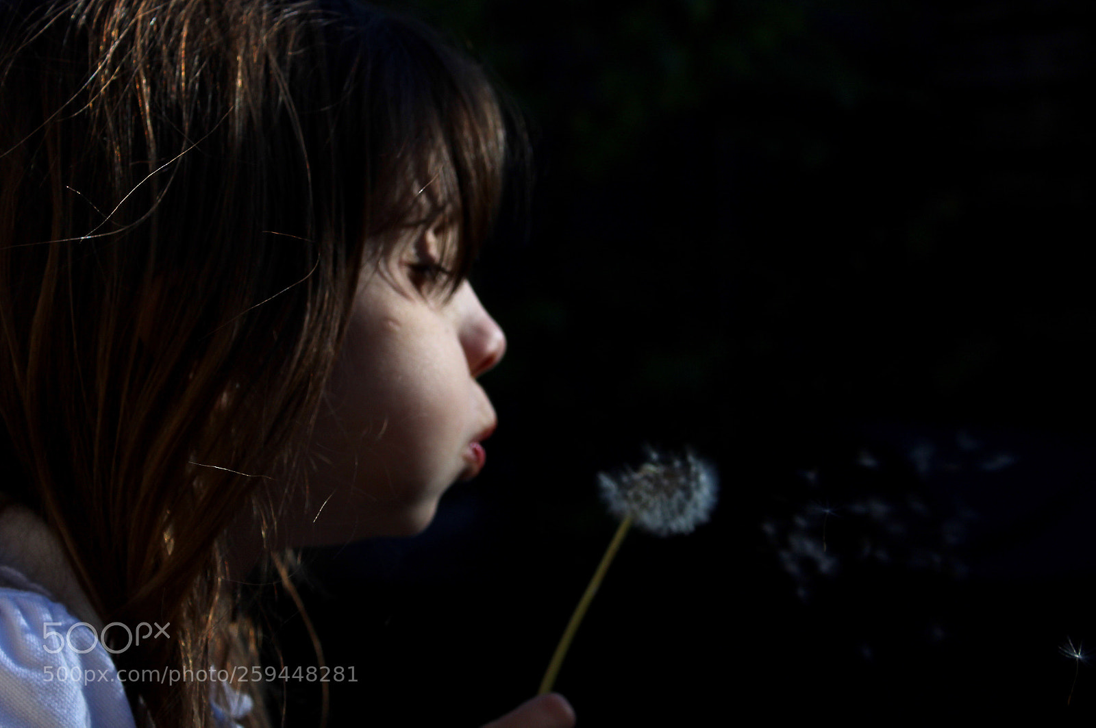 Canon EOS 1300D (EOS Rebel T6 / EOS Kiss X80) sample photo. Dreamy~ photography