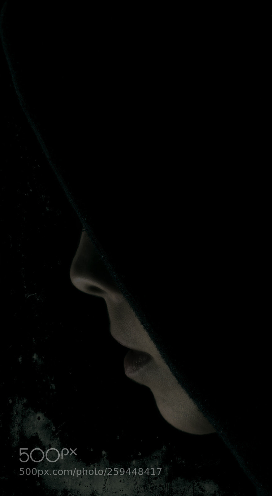 Nikon D750 sample photo. Mistery photography