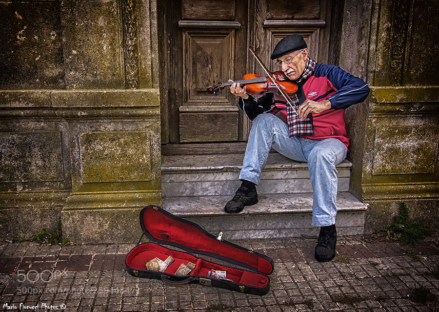 Canon EOS 40D sample photo. The violinist photography