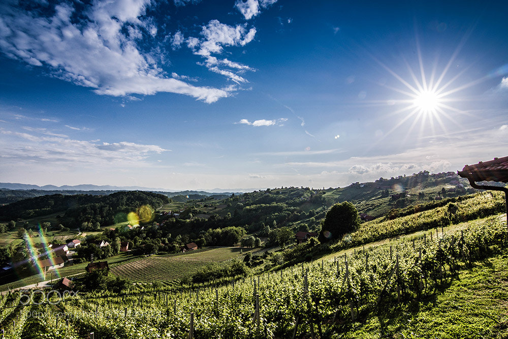 Nikon D7200 sample photo. Svedruža photography