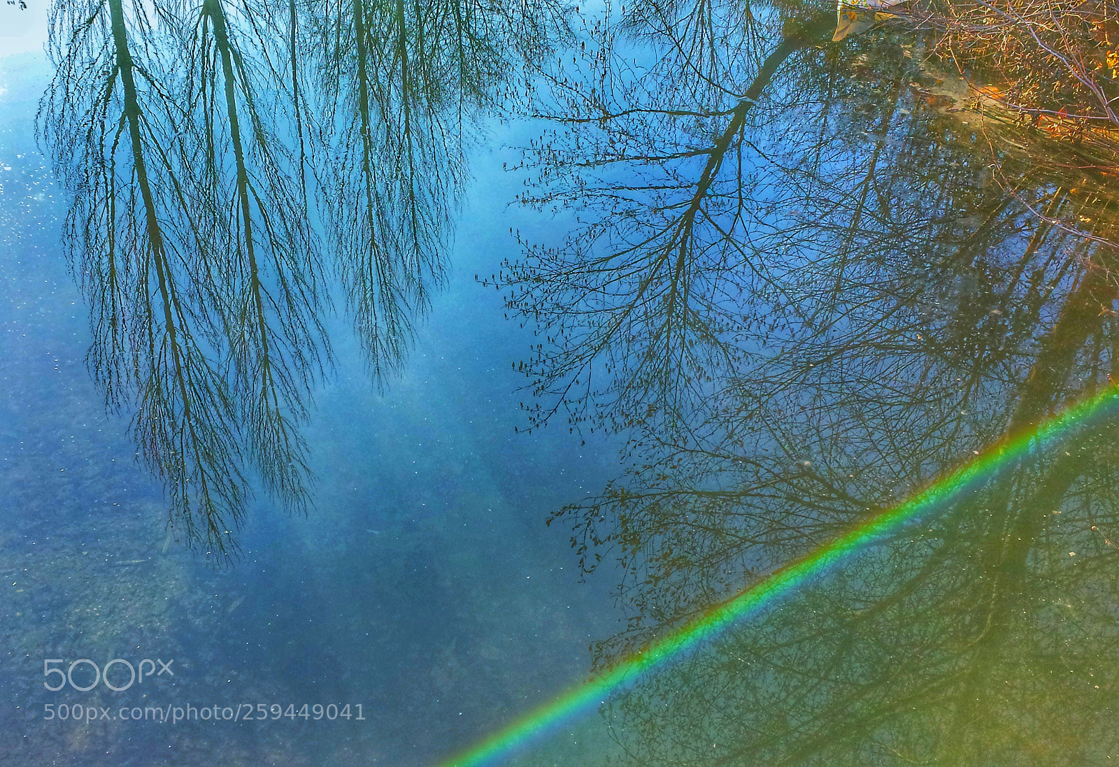 Samsung Galaxy S4 sample photo. Reflexo da vida photography