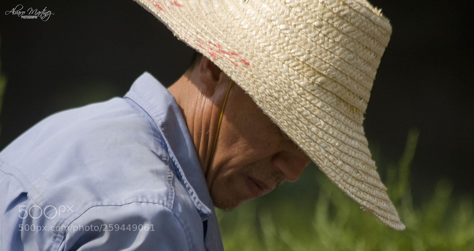 Canon EOS 40D sample photo. Trabajo photography